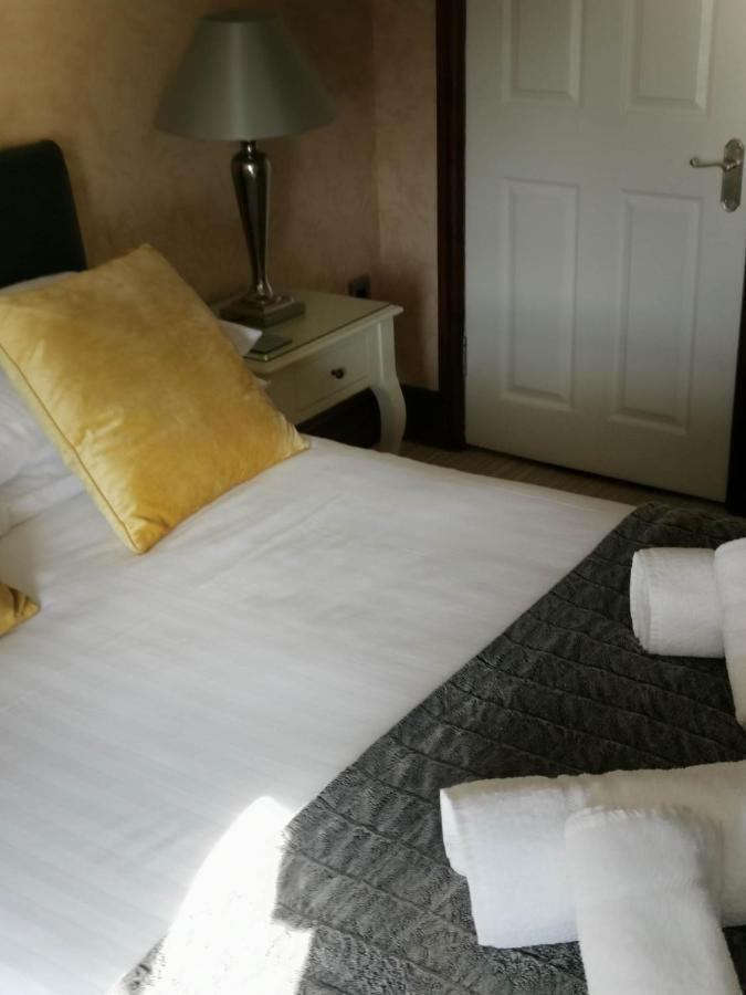 Llety Teifi Guest House 카디건 외부 사진
